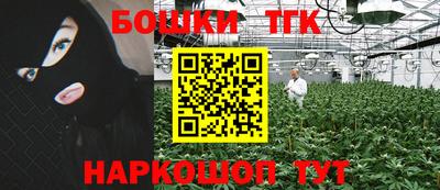 стаф Обь