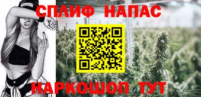 сатива Пенза