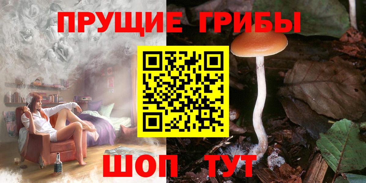 Галлюциногенные грибы мицелий Новороссийск